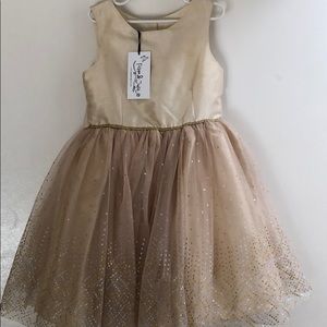 Pipa & Julie Dress. Size 6x. NWT.